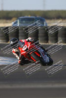 media/Oct-11-2025-CRA (Sat) [[48ae399f89]]/Races/Race 9/